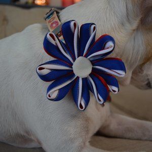 Handmade flower bow for dog's collar
